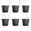 Buy Versatile Black Gardening Pots (Multiple sizes) Online at Nursery Nisarga