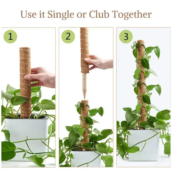 Buy Coco Liner, Coir pole, Plant Supporting Climber Stick Online at Nursery Nisarga