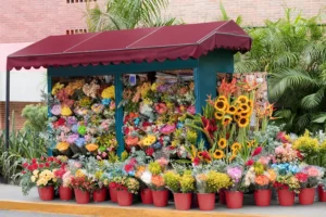 Flower shop , Buy Bouquets for Valentine