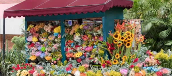 Flower shop , Buy Bouquets for Valentine