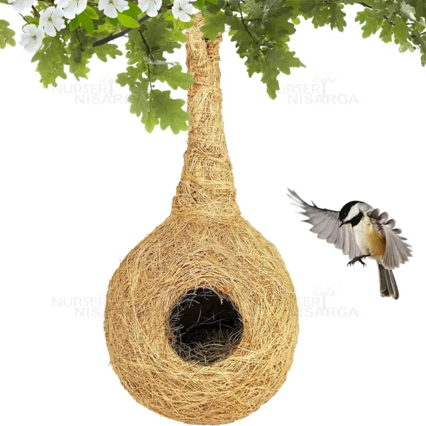 Buy Coconut Coir Husk Organic Bird Nest ' handmade' , 'Pack of 5' from nursery Nisarga