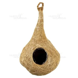 Buy Coconut Coir Husk Organic Bird Nest ' handmade' , 'Pack of 5' from nursery Nisarga