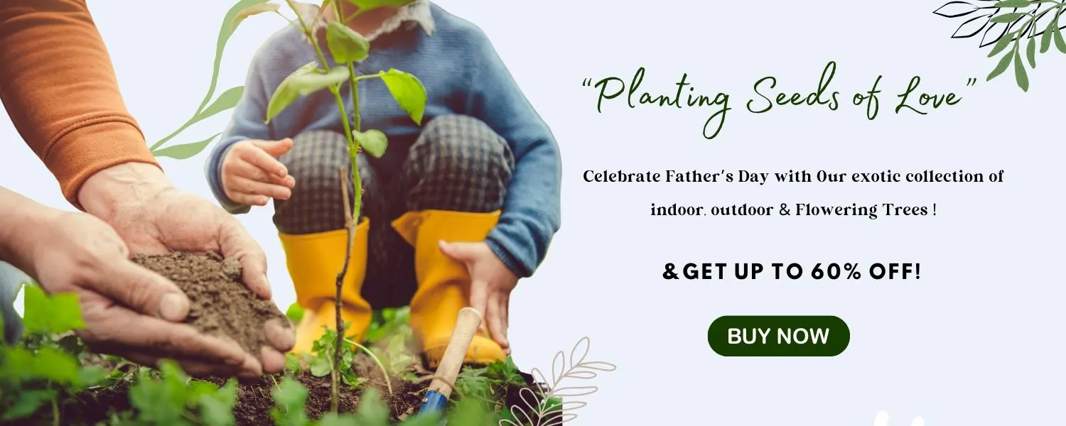 A father and son are kneeling side by side, planting a small tree in the ground together. The scene captures a moment of bonding and teamwork, celebrating Father’s Day with an act of nurturing and growth.