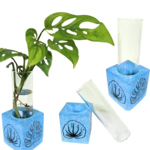 Buy Single Concrete Propagation test tube From Nursery Nisarga