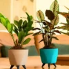 Buy Harshdeep "Lagos " Planter - Set of 4 From Nursery nisarga