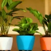 Buy Harshdeep "Lagos " Planter - Set of 4 From Nursery nisarga