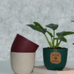 Buy Harshdeep Verona Eco - Planter From Nursery Nisarga