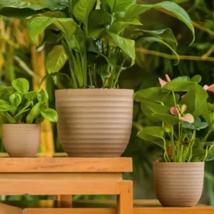 Buy Harshdeep Verona Eco - Planter From Nursery Nisarga