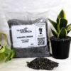 Buy Washed Cinder for Plants From Nursery Nisarga