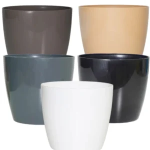 Buy online Harshdeep Premium Valencia With Wheels Planters from Nursery Nisarga
