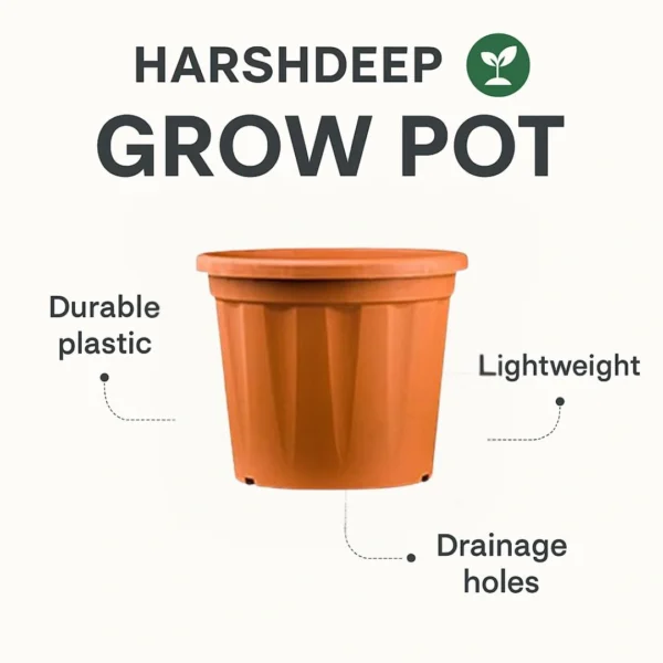 Buy Harshdeep Grow Planter (Multiple Sizes) from Nursery Nisarga