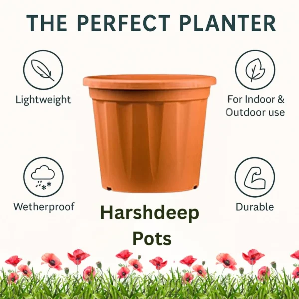 Buy Harshdeep Grow Planter (Multiple Sizes) from Nursery Nisarga