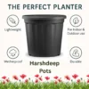Buy Harshdeep Grow Planter (Multiple Sizes) from Nursery Nisarga