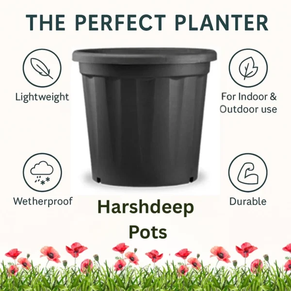 Buy Harshdeep Grow Planter (Multiple Sizes) from Nursery Nisarga