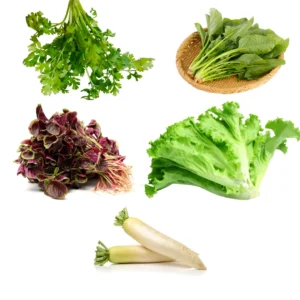 Buy Indian Vegetable Seeds Combo "Pack of 5" from Nursery NIsarga