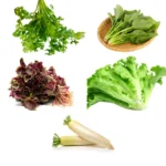 Buy Veggie Leafs seeds pack for terrace Gardening from Nursery Nisarga
