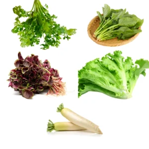 Buy Veggie Leafs seeds pack for terrace Gardening from Nursery Nisarga