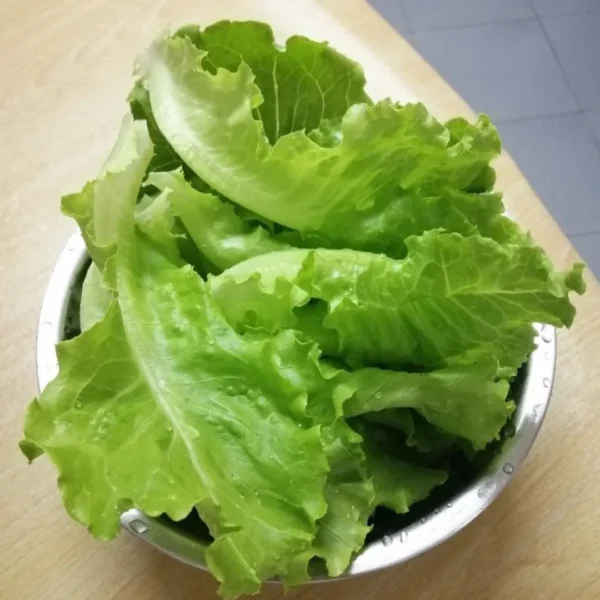 Buy Veggie Leafs seeds pack for terrace Gardening from Nursery Nisarga