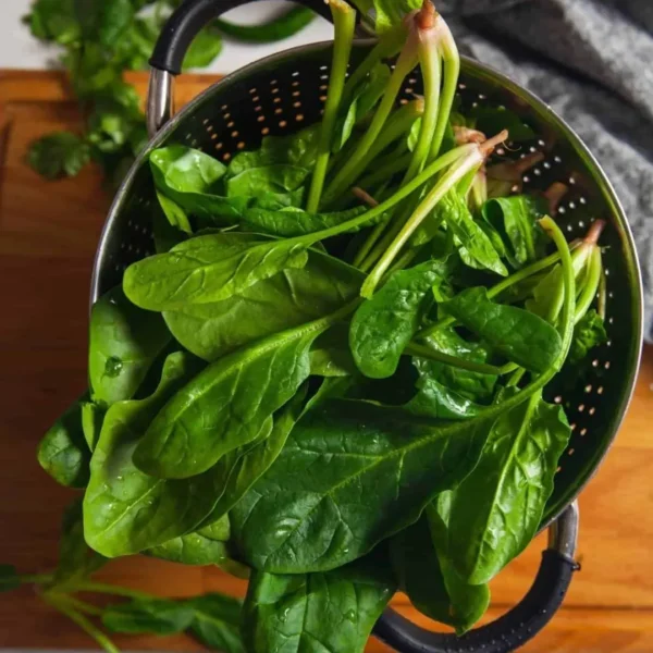 Buy Veggie Leafs seeds pack for terrace Gardening from Nursery Nisarga