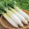 Buy Veggie Leafs seeds pack for terrace Gardening from Nursery Nisarga