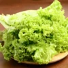 Buy Exotic Vegetable Seeds Combo "Pack of 6" from Nursery Nisarga