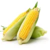 Buy Exotic Vegetable Seeds Combo "Pack of 6" from Nursery Nisarga