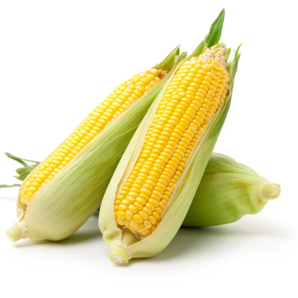Buy Exotic Vegetable Seeds Combo "Pack of 6" from Nursery Nisarga