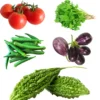 Buy Indian Vegetable Seeds Combo "Pack of 5" from Nursery NIsarga