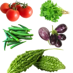 Buy Indian Vegetable Seeds Combo "Pack of 5" from Nursery NIsarga