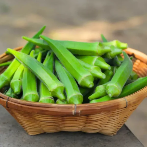Buy Indian Vegetable Seeds Combo "Pack of 5" from Nursery NIsarga