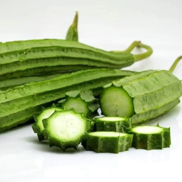 Buy Creeper Vegetable Seeds Combo "Pack of 8" from Nursery Nisarga