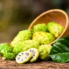 Buy Noni (Morinda Citrifolia) - Plant from Nursery Nisarga