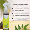 Buy Neem Oil (Ready to Use) Spray - 200ml from Nursery Nisarga