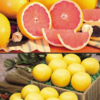 Buy Grapefruit "Citrus-Paradisi" Pomelo - Plant from Nursery Nisarga