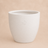 Buy Garden Green RS Cup Rotomold Stone Finish Planter from Nursery Nisarga