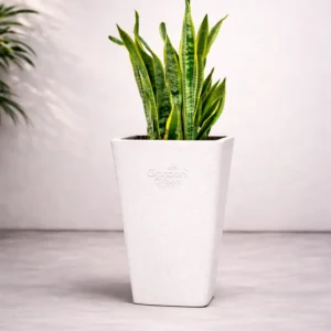 Buy Garden Green ST Rotomold stone- Planter from Nursery Nisarga