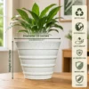 Buy Garden green YRR Rotomold stone finish- Planter from Nursery Nisarga