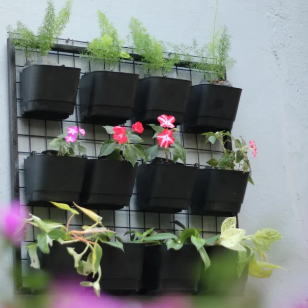 Buy Garden Green " hanging pot with panel" for plant from Nursery Nisarga