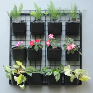 Buy Garden Green " hanging pot with panel" for plant from Nursery Nisarga
