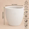 Buy Garden Green RS Cup Rotomold Stone Finish Planter from Nursery Nisarga