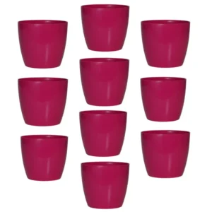Buy Harshdeep Premium Valencia 11 - Planter from Nursery Nisarga