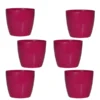 Buy Harshdeep Premium Valencia 14 - Planter from Nursery Nisarga