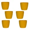 Buy Harshdeep Premium Valencia 14 - Planter from Nursery Nisarga
