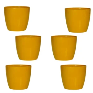 Buy Harshdeep Premium Valencia 14 - Planter from Nursery Nisarga