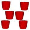 Buy Harshdeep Premium Valencia 14 - Planter from Nursery Nisarga