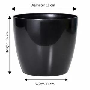 Buy Harshdeep Premium Valencia 11 - Planter from Nursery Nisarga