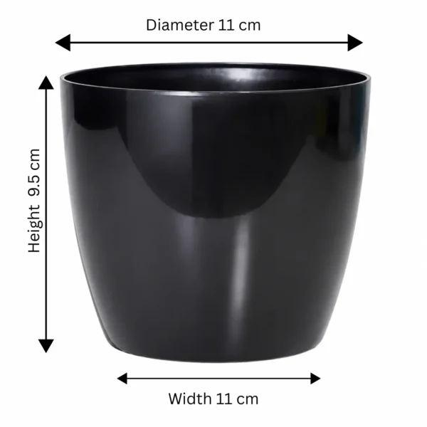 Buy Harshdeep Premium Valencia 11 - Planter from Nursery Nisarga