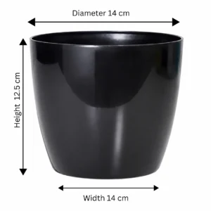 Buy Harshdeep Premium Valencia 14 - Planter from Nursery Nisarga