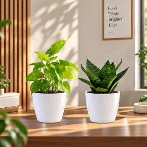 Festive decor Plant & Green - combo pack